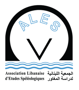 ALES-logo